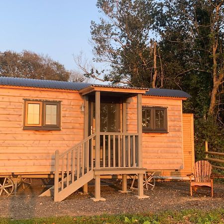 Lle Mary - Beautiful Views, Hot Tub, Secluded, Dog Welcome, Barmouth Llanddwywe Esterno foto