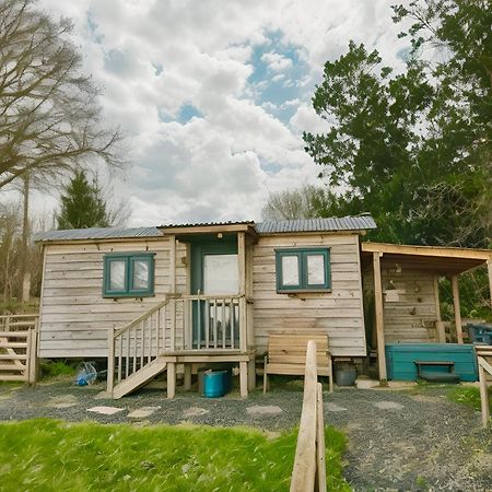 Lle Mary - Beautiful Views, Hot Tub, Secluded, Dog Welcome, Barmouth Llanddwywe Esterno foto
