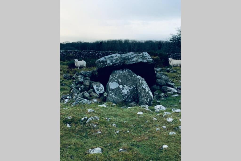 Lle Mary - Beautiful Views, Hot Tub, Secluded, Dog Welcome, Barmouth Llanddwywe Esterno foto