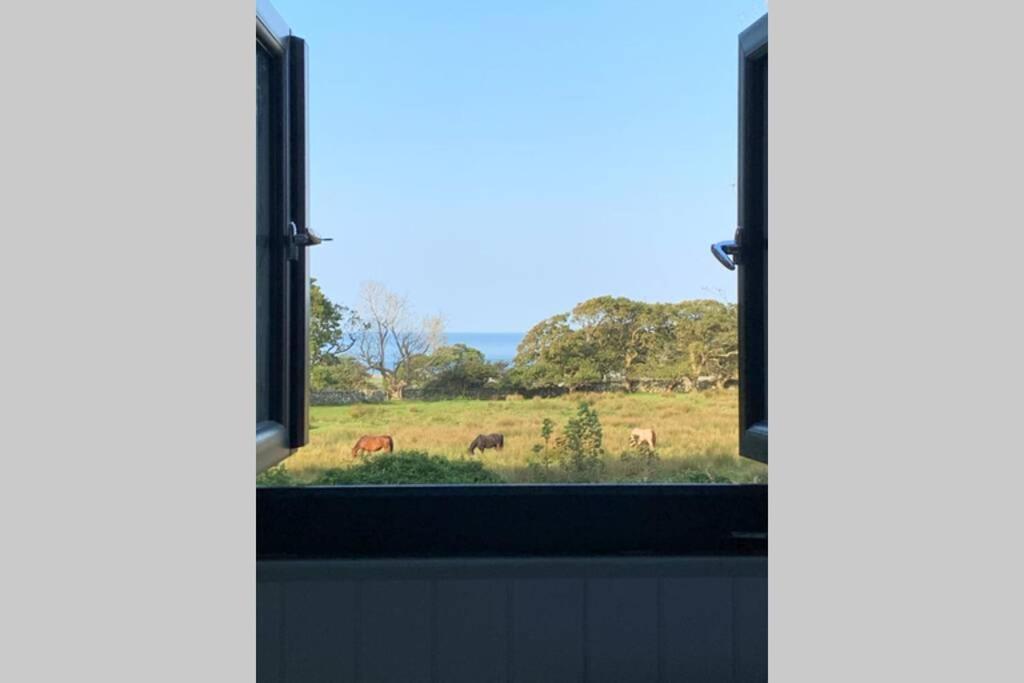 Lle Mary - Beautiful Views, Hot Tub, Secluded, Dog Welcome, Barmouth Llanddwywe Esterno foto